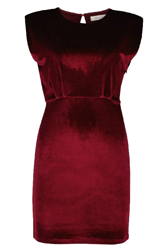 Hayden Velvet Dress